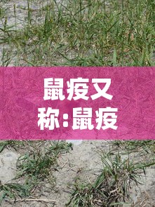 鼠疫又称:鼠疫又称单选 
