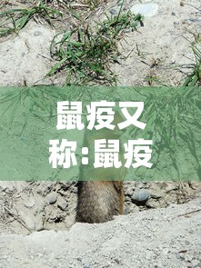 【安徽感染者或非零号,安徽新型肺炎疑似病例是哪里的】