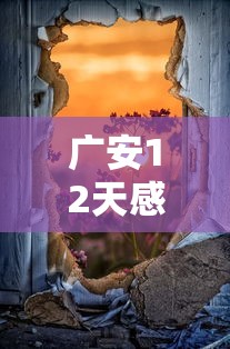 广安12天感染者破千（广安感染肺炎最新消息）