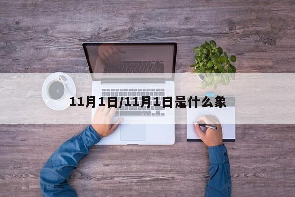 11月1日/11月1日是什么象