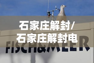 石家庄解封/石家庄解封电话卡的电信营业厅