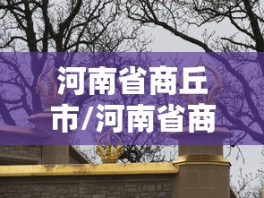 31省新增本土182例/31省新增22例本土8例