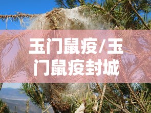 玉门鼠疫/玉门鼠疫封城